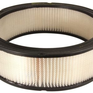 FILT. AIRE  BLAZER 91-94 V8 5
