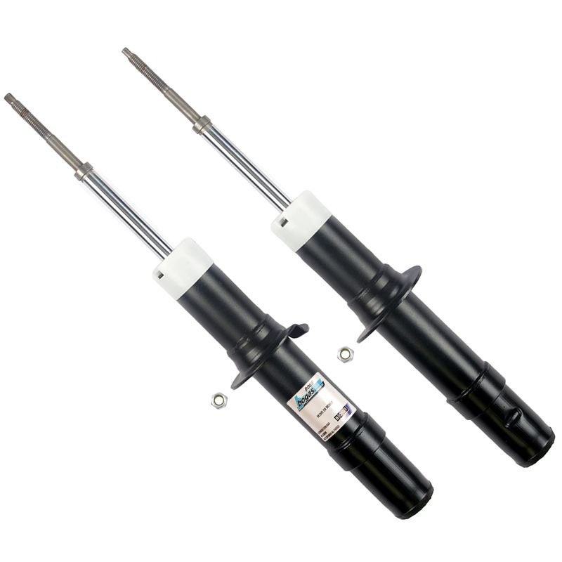 Suspension Strut - MP8294